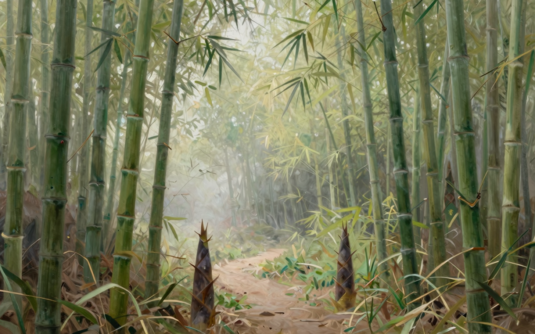 What does dreaming about bamboo mean?